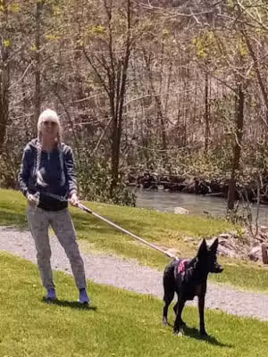 Creekside Park - Westernport, MD