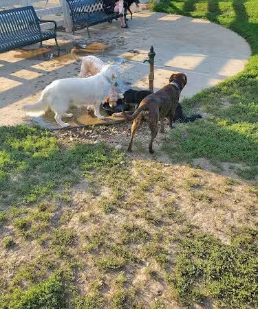 Brooksedge Park Bark Park - Westerville, OH