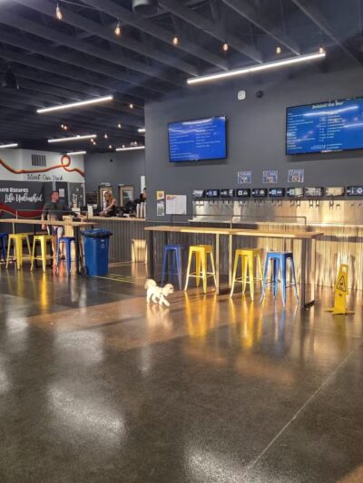 Crate Escapes Dog Park + Bar - Westfield, IN