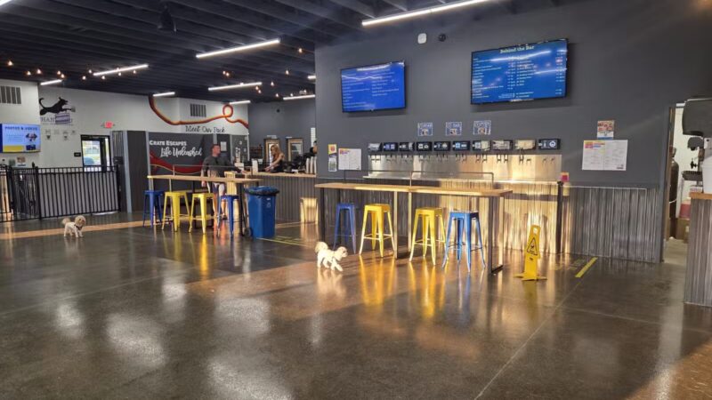 Crate Escapes Dog Park + Bar - Westfield, IN