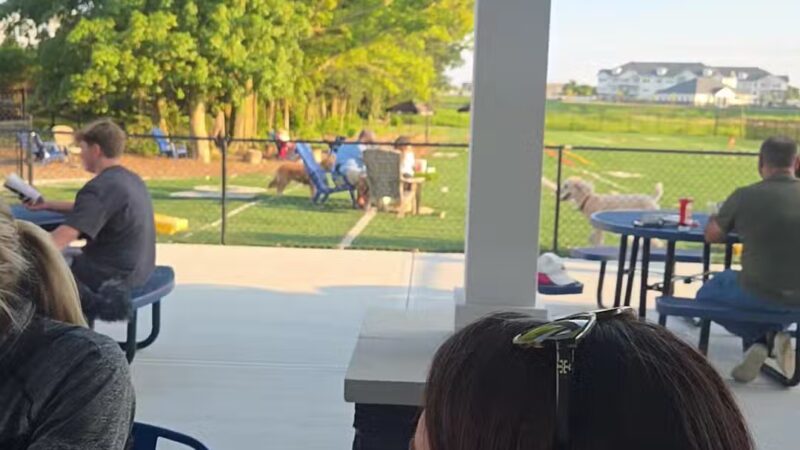 Crate Escapes Dog Park + Bar - Westfield, IN