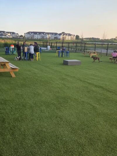 Crate Escapes Dog Park + Bar - Westfield, IN