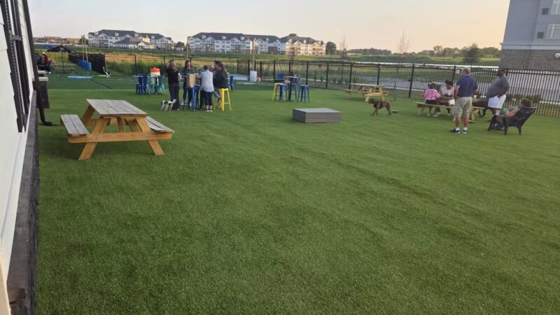 Crate Escapes Dog Park + Bar - Westfield, IN