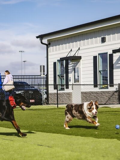 Crate Escapes Dog Park + Bar - Westfield, IN