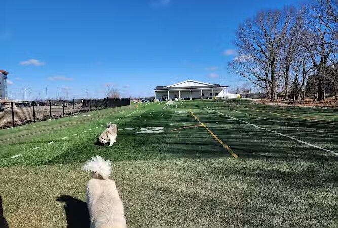 Crate Escapes Dog Park + Bar - Westfield, IN