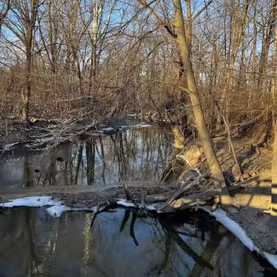 Old Hines Park Dog Park - Westland, MI