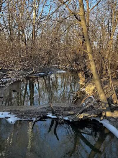 Old Hines Park Dog Park - Westland, MI