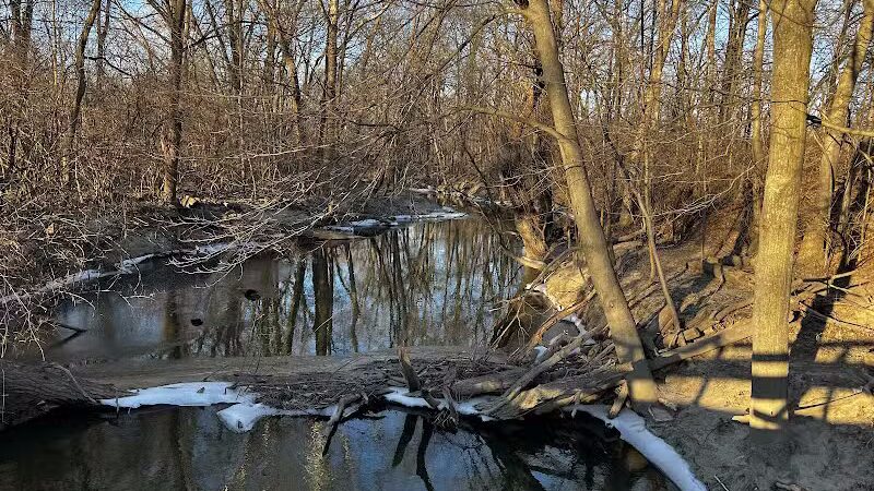 Old Hines Park Dog Park - Westland, MI