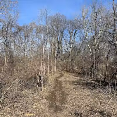 Old Hines Park Dog Park - Westland, MI