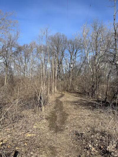 Old Hines Park Dog Park - Westland, MI