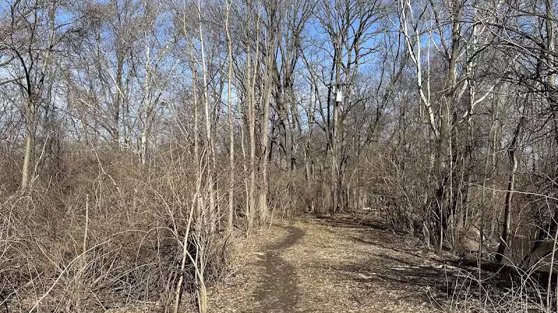 Old Hines Park Dog Park - Westland, MI