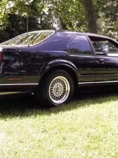 Wayne County Dog Park - Westland, MI