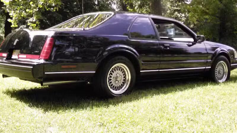 Wayne County Dog Park - Westland, MI