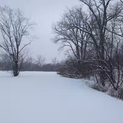 Wayne County Dog Park - Westland, MI