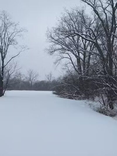 Wayne County Dog Park - Westland, MI