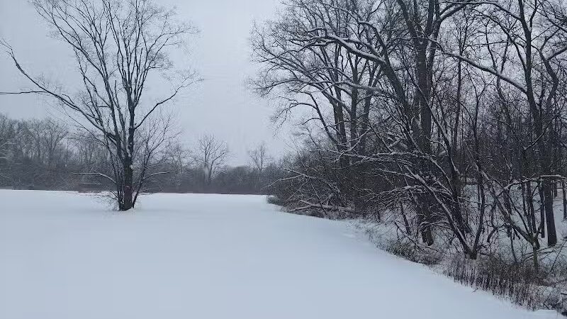 Wayne County Dog Park - Westland, MI