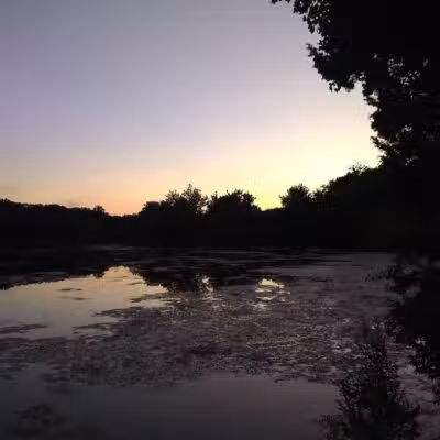 Wayne County Dog Park - Westland, MI