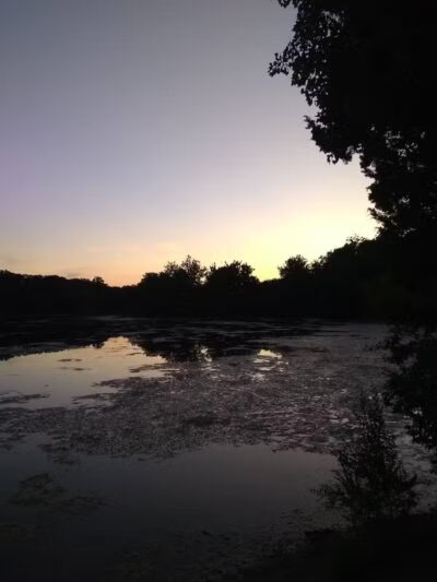 Wayne County Dog Park - Westland, MI