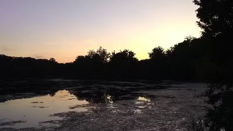 Wayne County Dog Park - Westland, MI