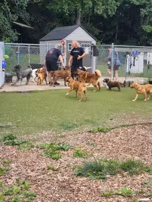 Bennett Cerf Dog Park (Members Only) - Westminster, MD