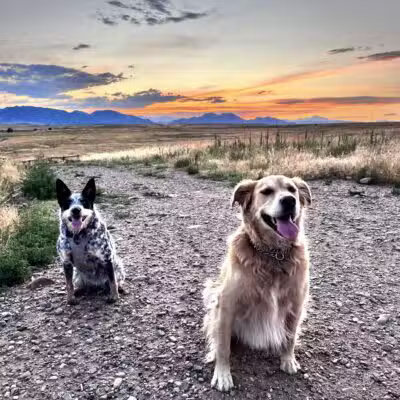Westminster Hills Open Space Off-Leash Area - Westminster, CO