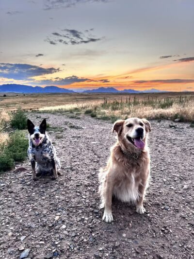 Westminster Hills Open Space Off-Leash Area - Westminster, CO