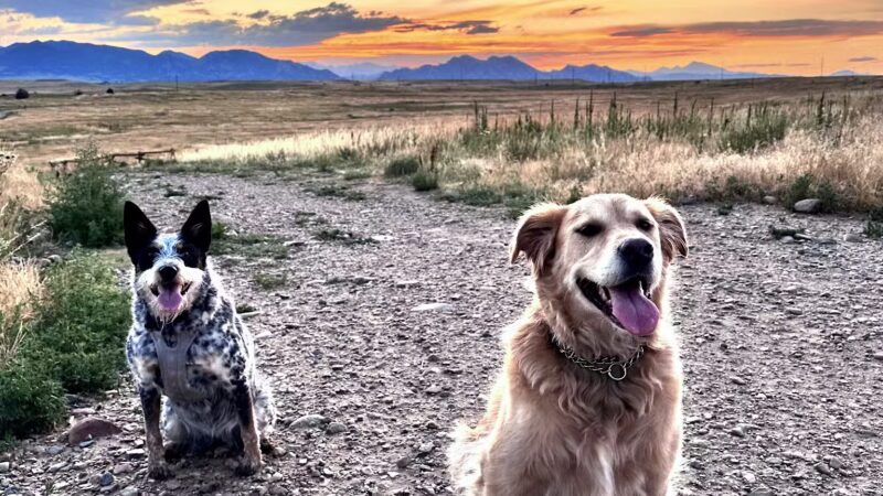 Westminster Hills Open Space Off-Leash Area - Westminster, CO
