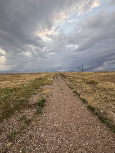 Westminster Hills Open Space Off-Leash Area - Westminster, CO