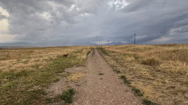 Westminster Hills Open Space Off-Leash Area - Westminster, CO