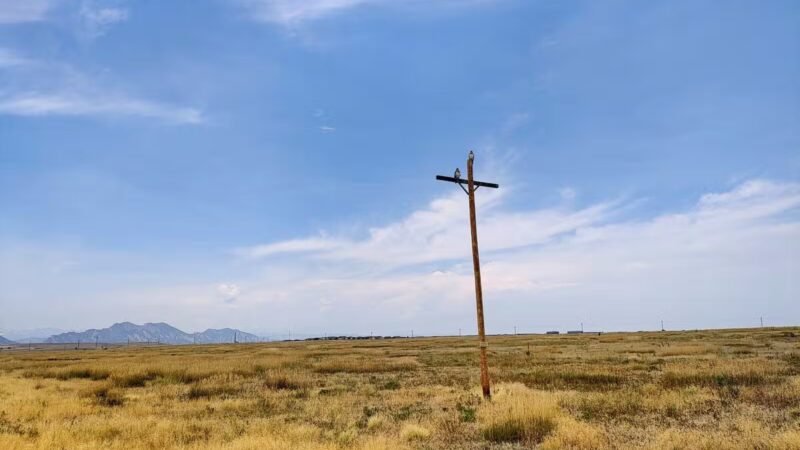 Westminster Hills Open Space Off-Leash Area - Westminster, CO