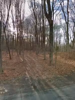 Weston Dog Park - Weston, CT