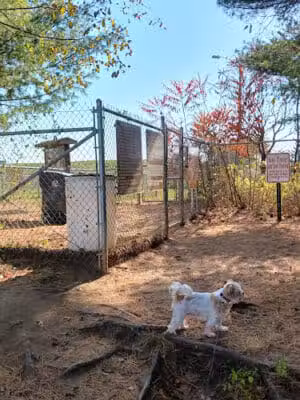 Weston Dog Park - Weston, MI