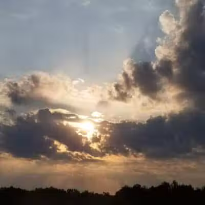 Weston Dog Park - Weston, MI
