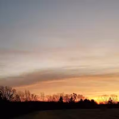 Weston Dog Park - Weston, MI