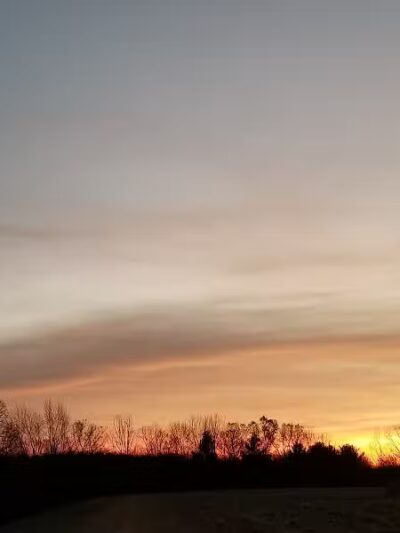 Weston Dog Park - Weston, MI