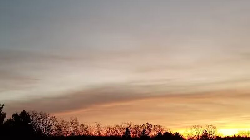 Weston Dog Park - Weston, MI
