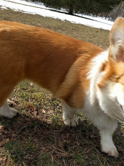 Winslow Park - Westport, CT