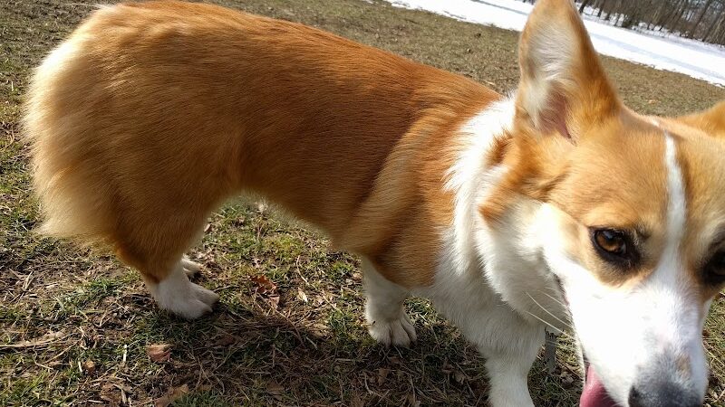 Winslow Park - Westport, CT