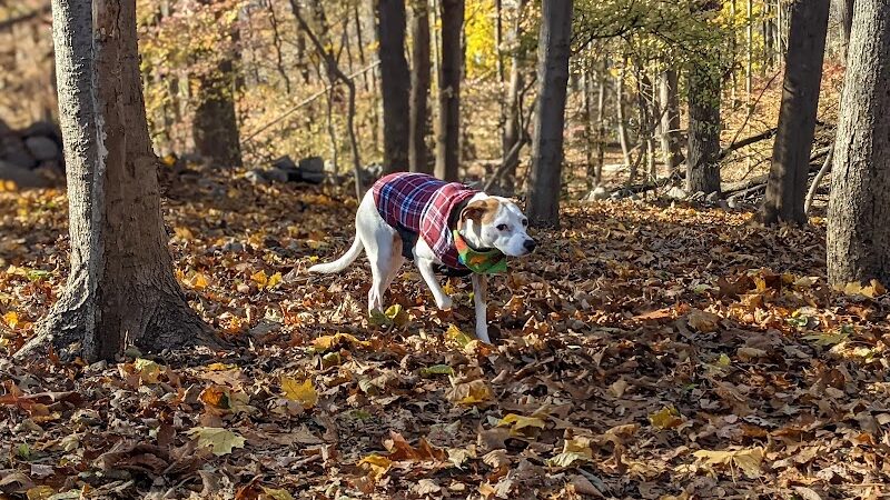 Winslow Park - Westport, CT
