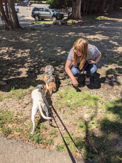 Winslow Park - Westport, CT