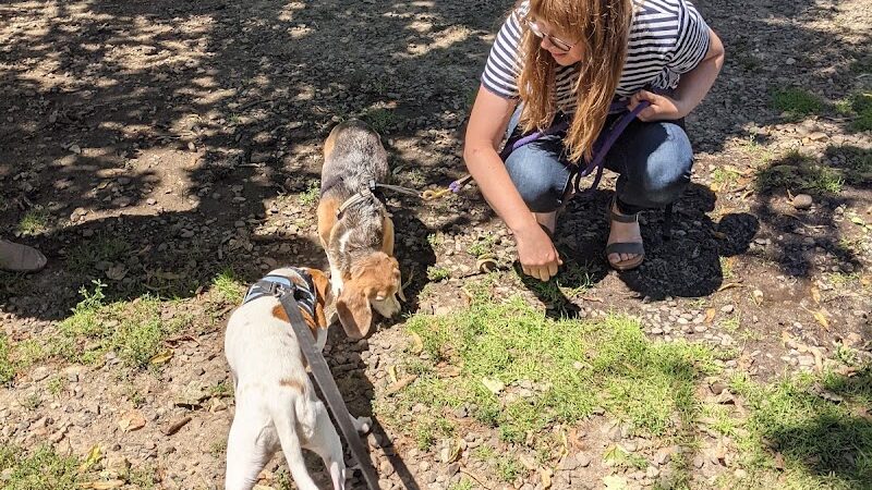 Winslow Park - Westport, CT