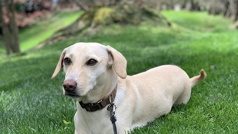 Winslow Park - Westport, CT