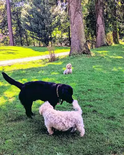 Winslow Park - Westport, CT