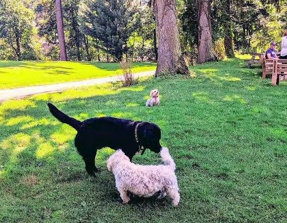 Winslow Park - Westport, CT