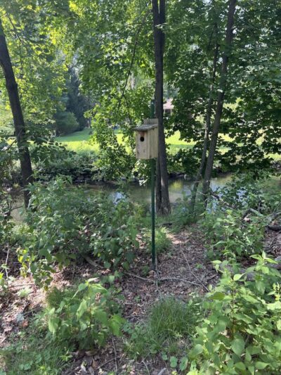 Overbrook Park - Westwood, NJ