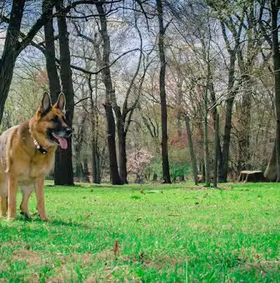 Overbrook Park - Westwood, NJ