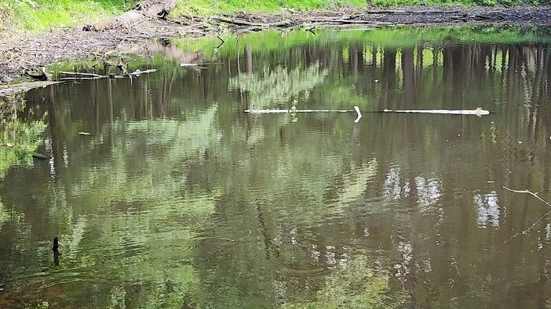 Pascack Brook County Park - Westwood, NJ