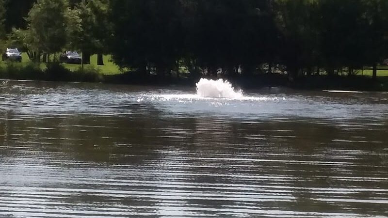 Pascack Brook County Park - Westwood, NJ