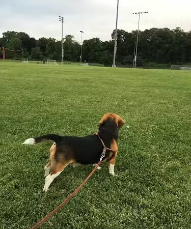 Pascack Brook County Park - Westwood, NJ