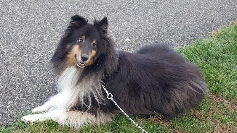 Westvale Park - Westwood, NJ